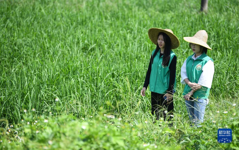 必赢28登录